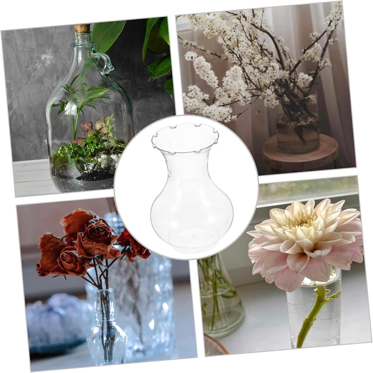 4pcs Clear Plastic Hydroponic Vases for Hyacinth Propagation