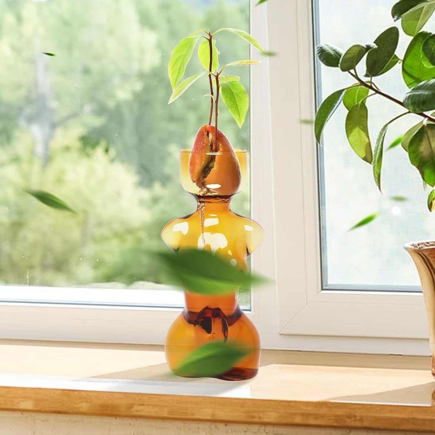 Propagation Vases for Plants and Home Decor Gift