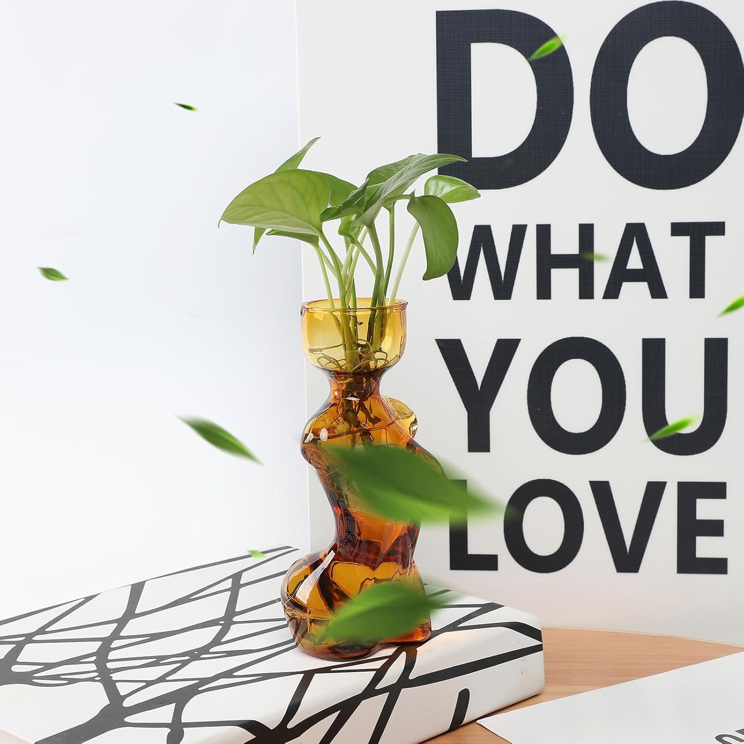 Propagation Vases for Plants and Home Decor Gift