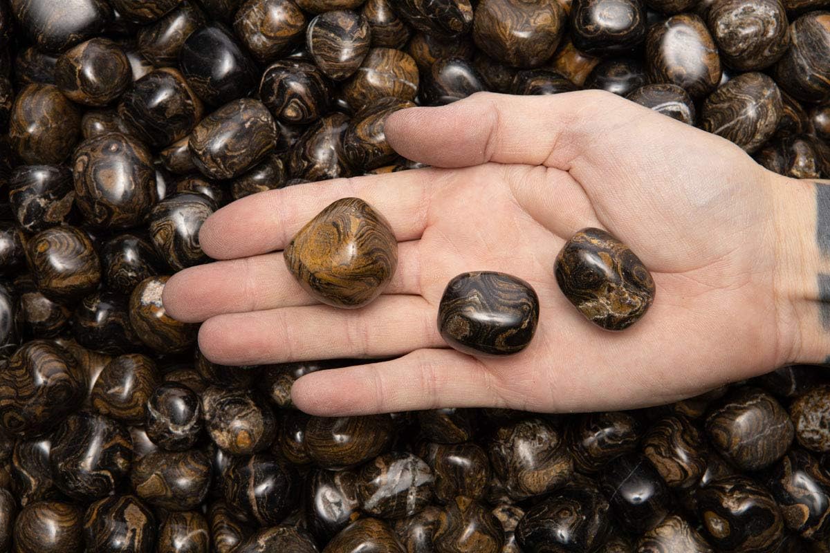 Fantasia 12 Pcs Natural Stromatolite Tumbled Stones from Peru