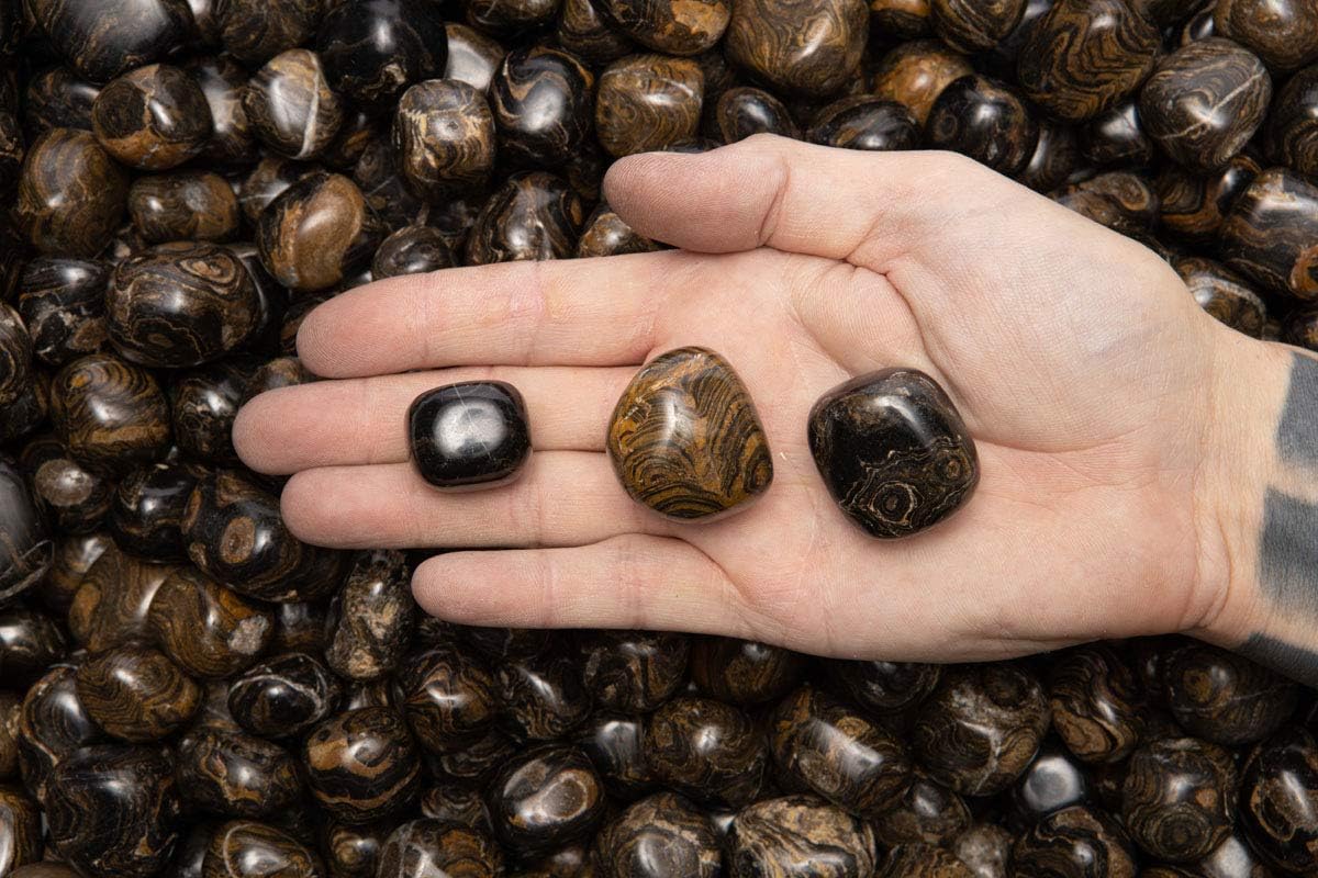 Fantasia 12 Pcs Natural Stromatolite Tumbled Stones from Peru