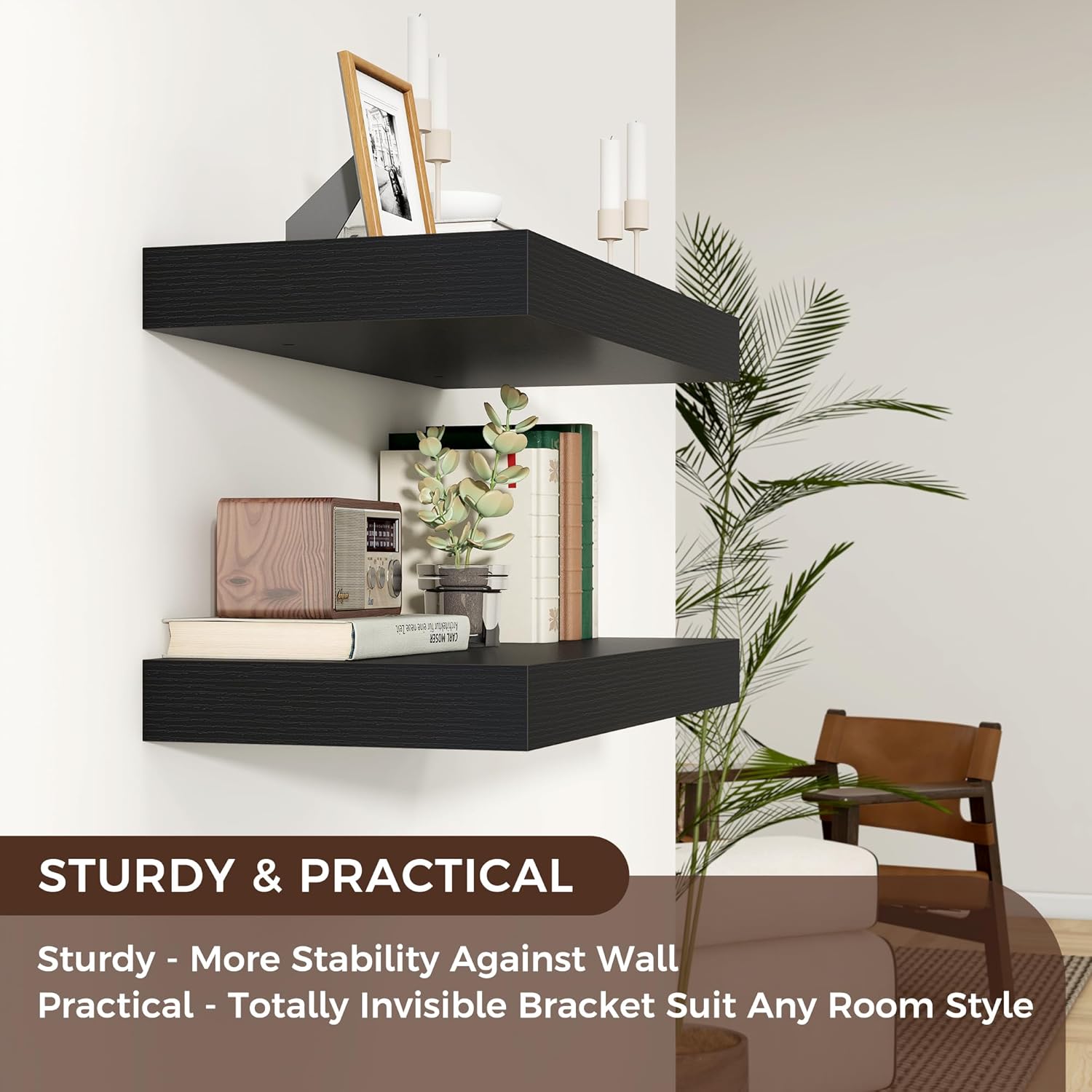 Venusmiles 24 x 12 Black Floating Wall Shelf