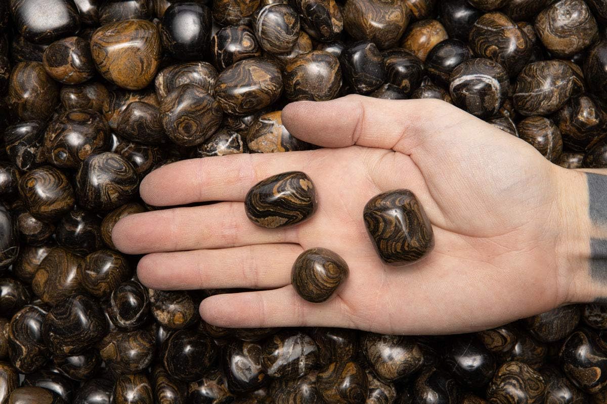 Fantasia 12 Pcs Natural Stromatolite Tumbled Stones from Peru