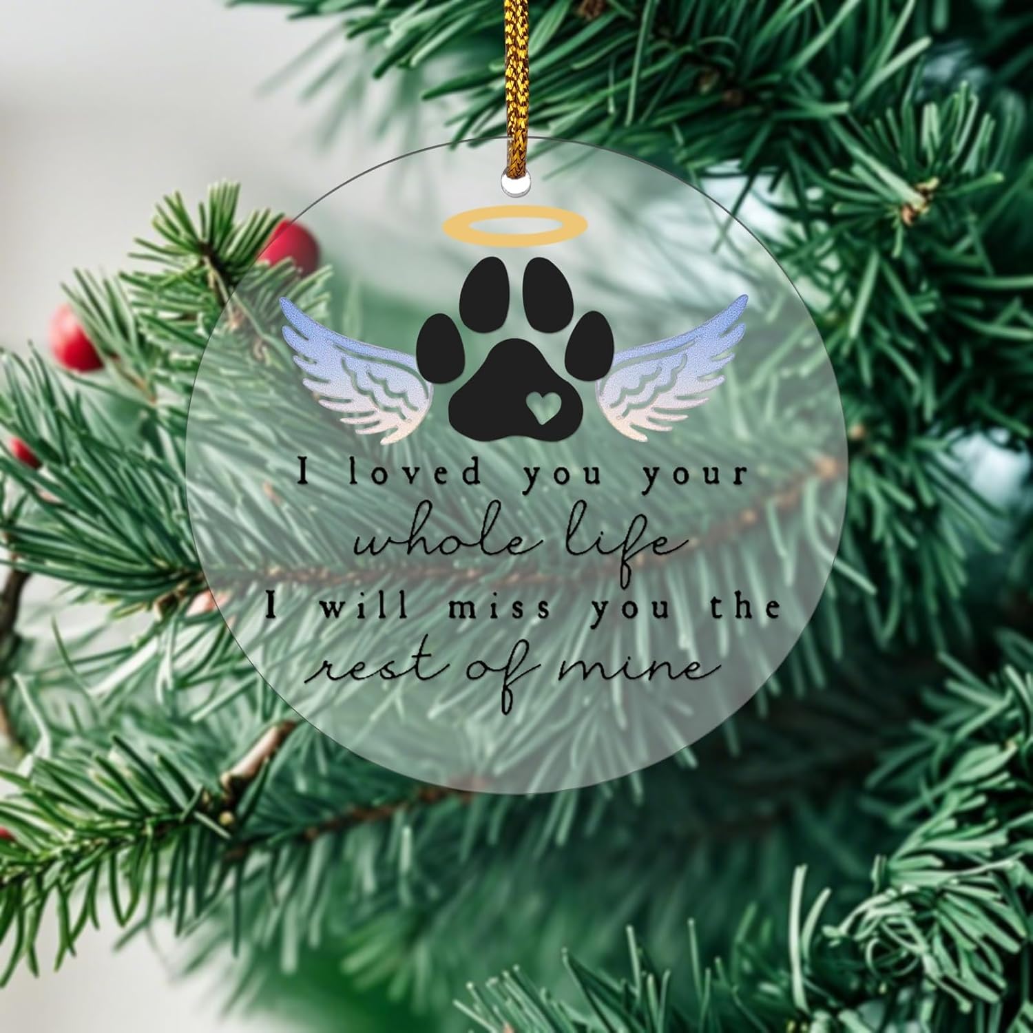 Pet Memorial Angel Wings Acrylic Ornament