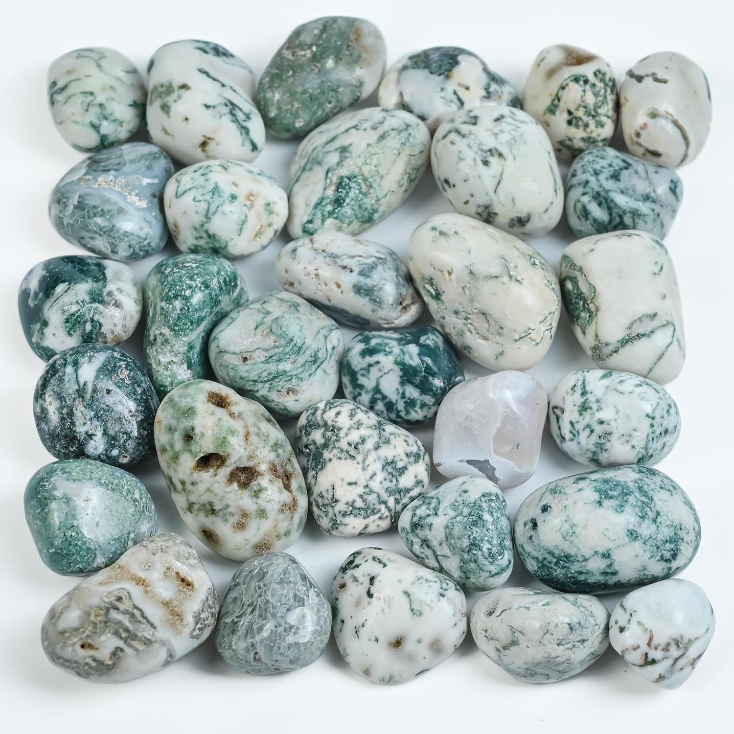 Crocon 1lb Tree Agate Tumble Stones Set