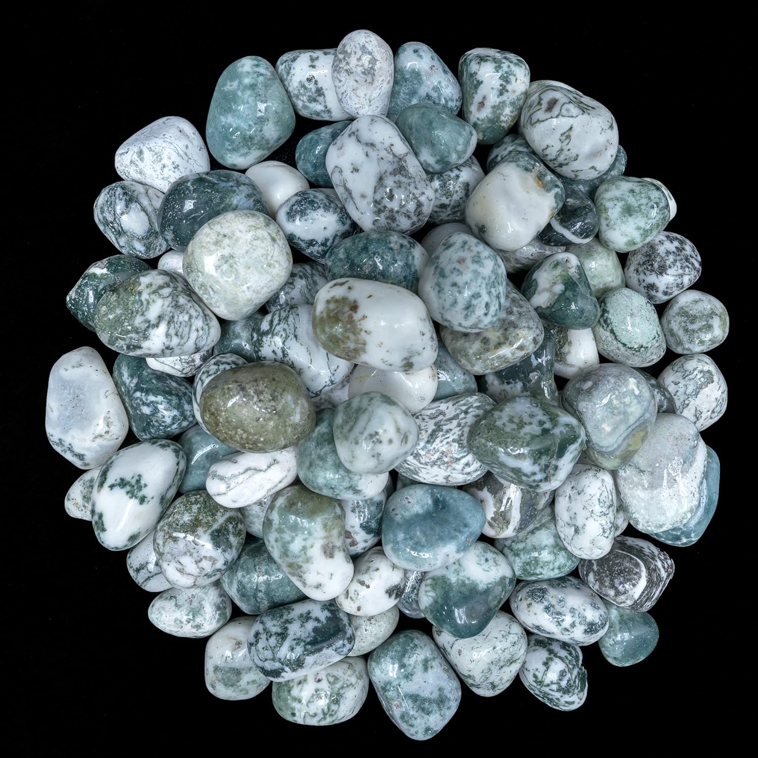 Crocon 1lb Tree Agate Tumble Stones Set