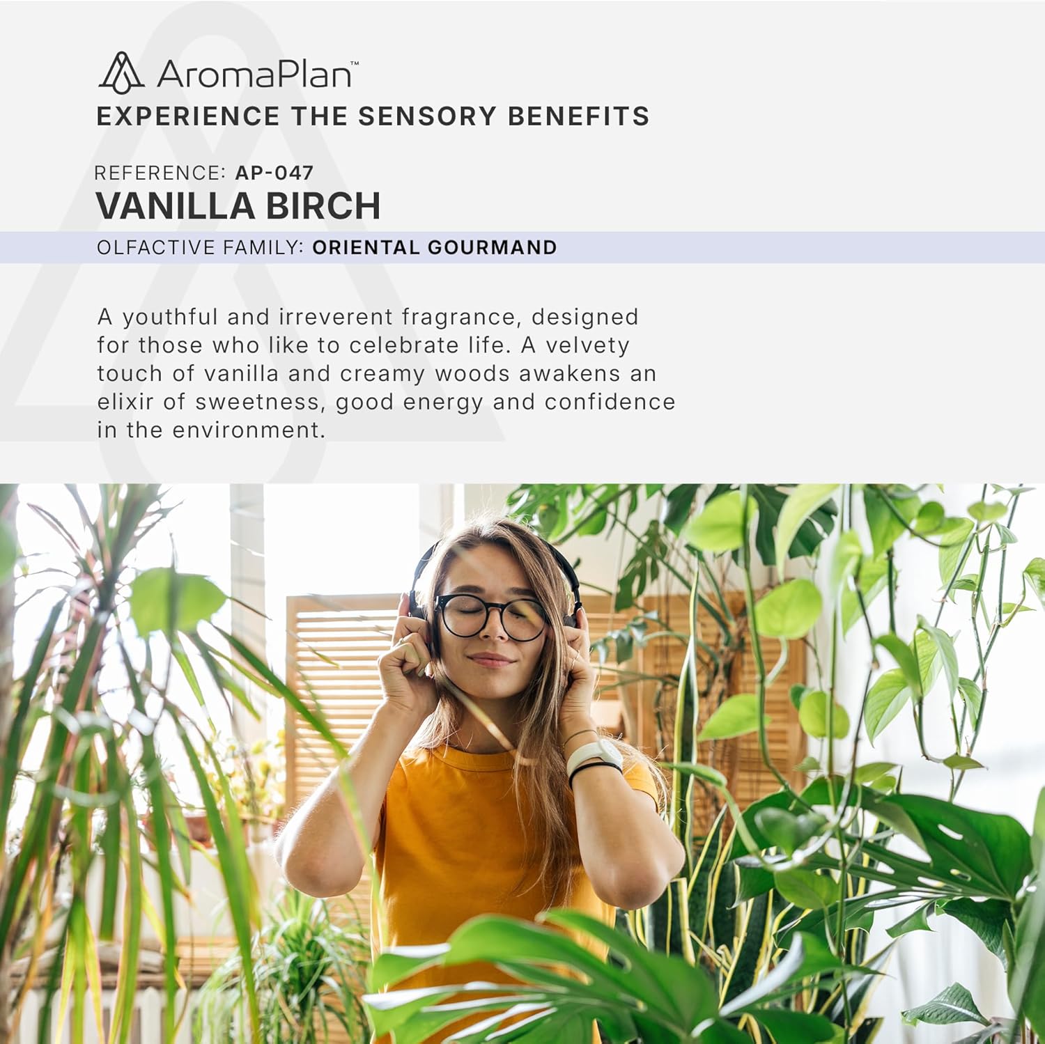 Aromaplan Hotel Scents Vanilla Birch 5 Fl Oz 2 Pack