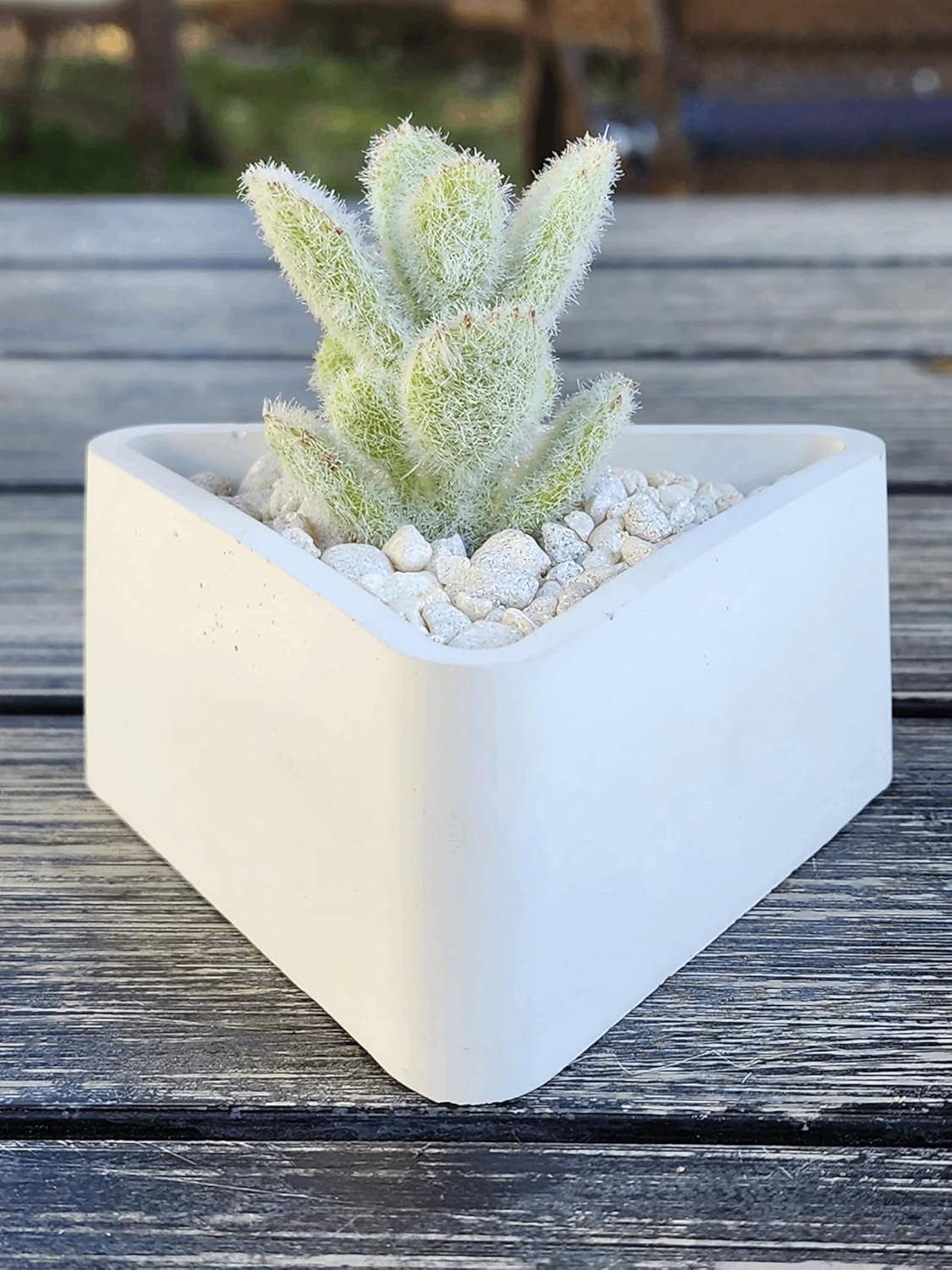 Triangle Concrete Planter for Succulents and Decor