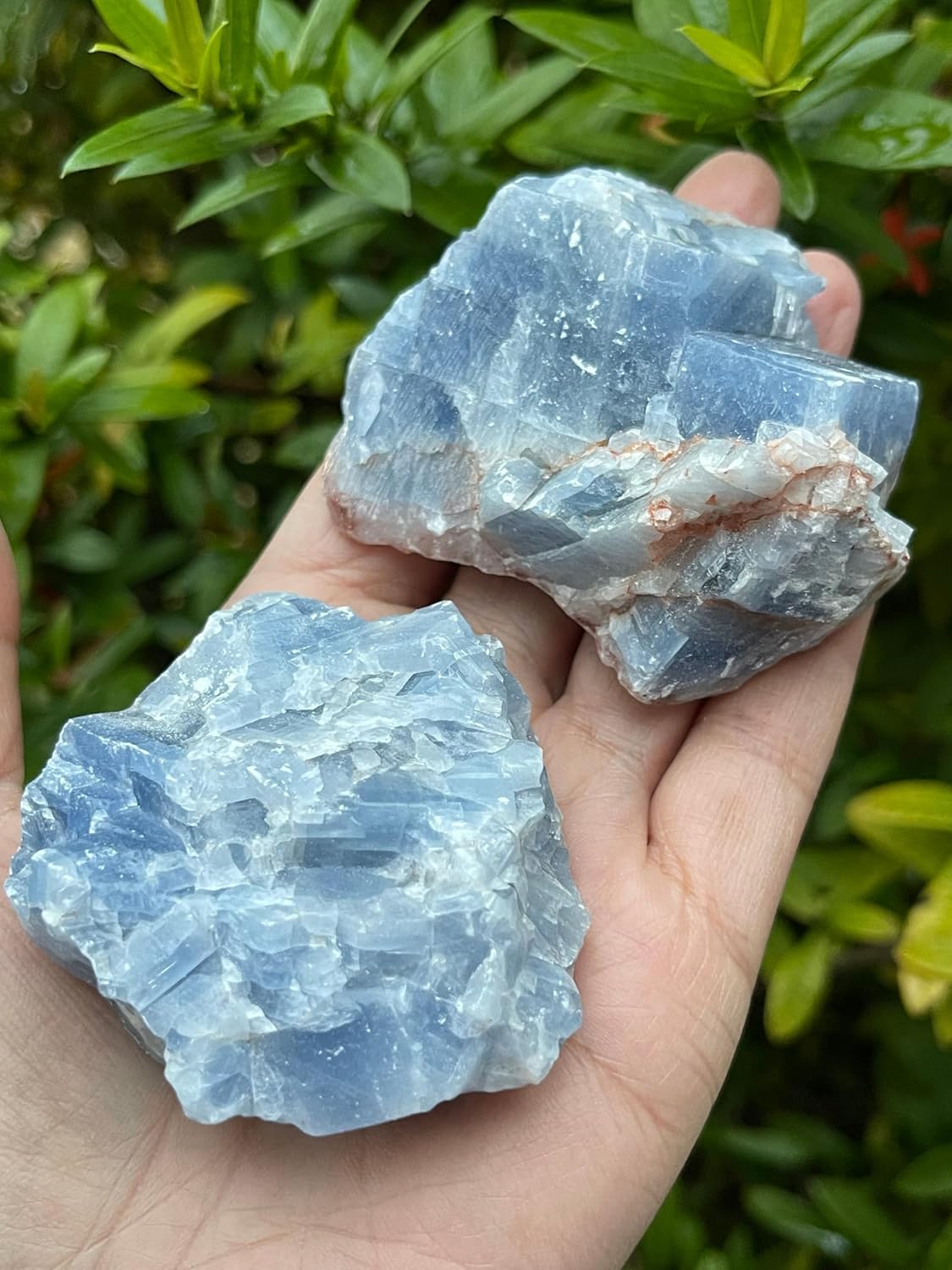 GAF TREASURES 1 Pound Blue Calcite Rough Stones