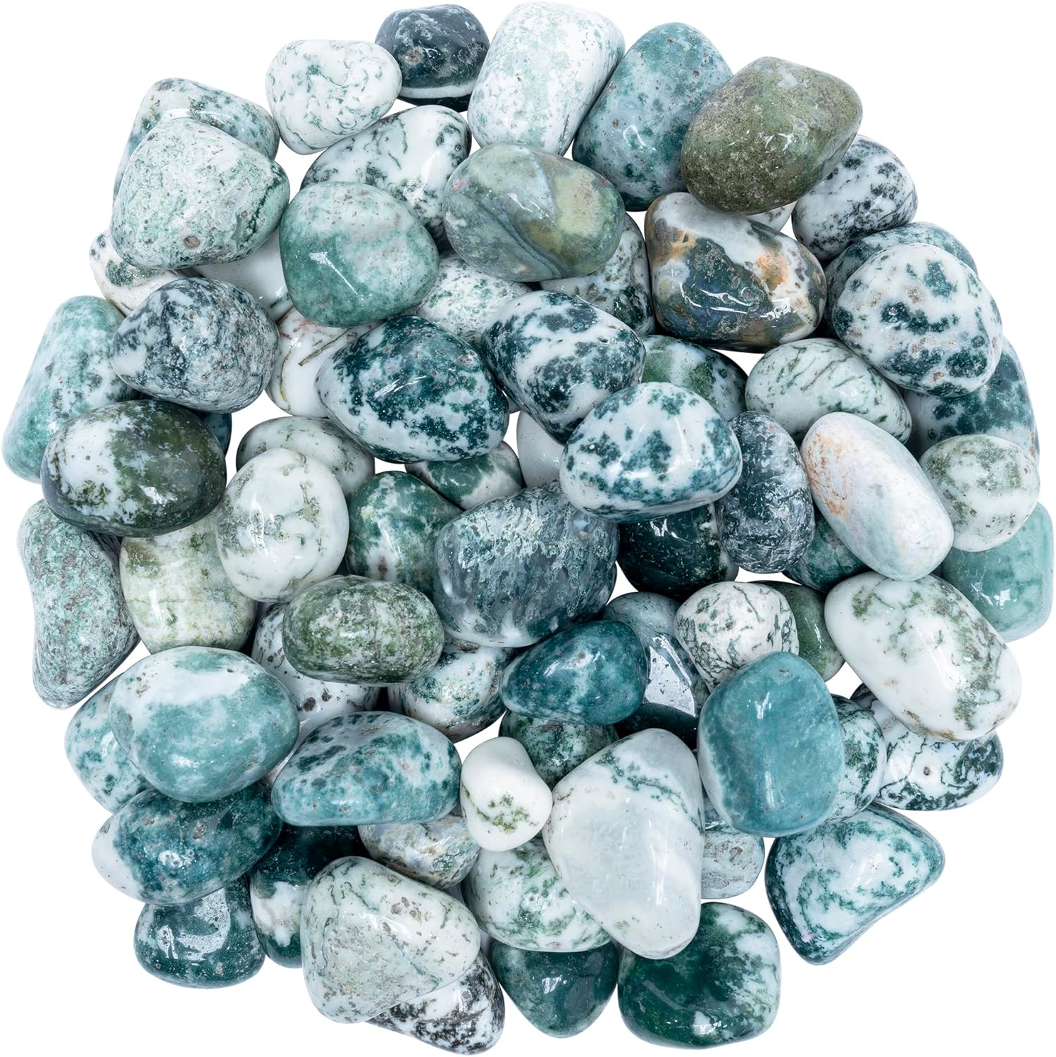 Crocon 1lb Tree Agate Tumble Stones Set