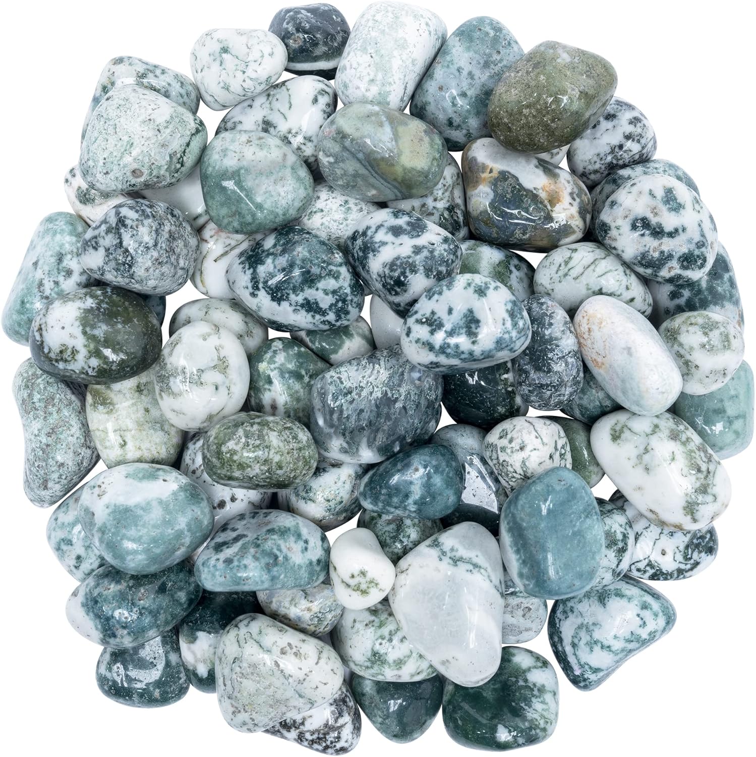 Crocon 1lb Tree Agate Tumble Stones Set