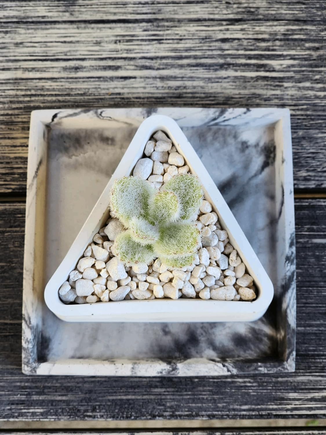Triangle Concrete Planter for Succulents and Decor