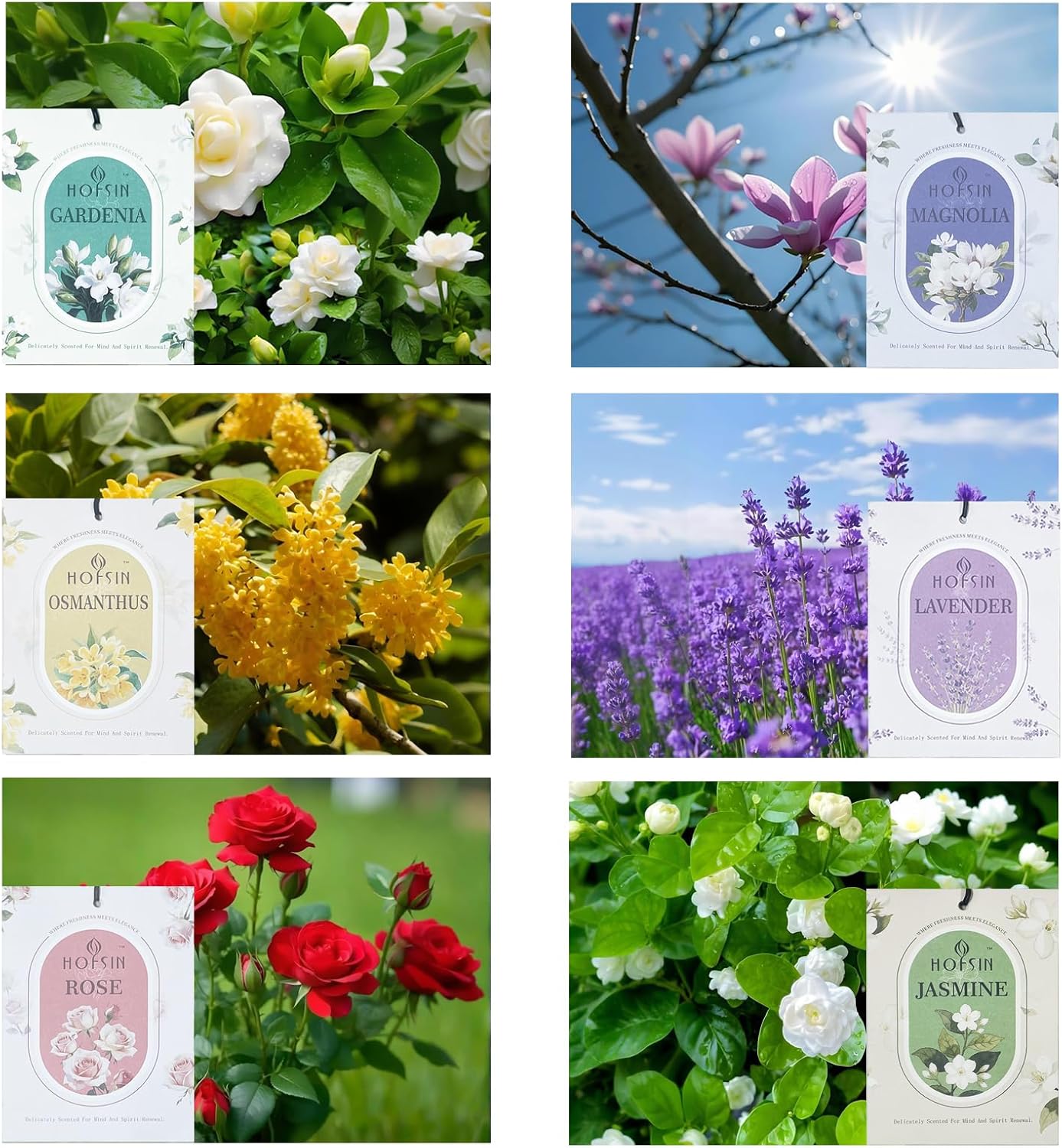 12 Pack Floral Scented Sachets for Drawer and Closet