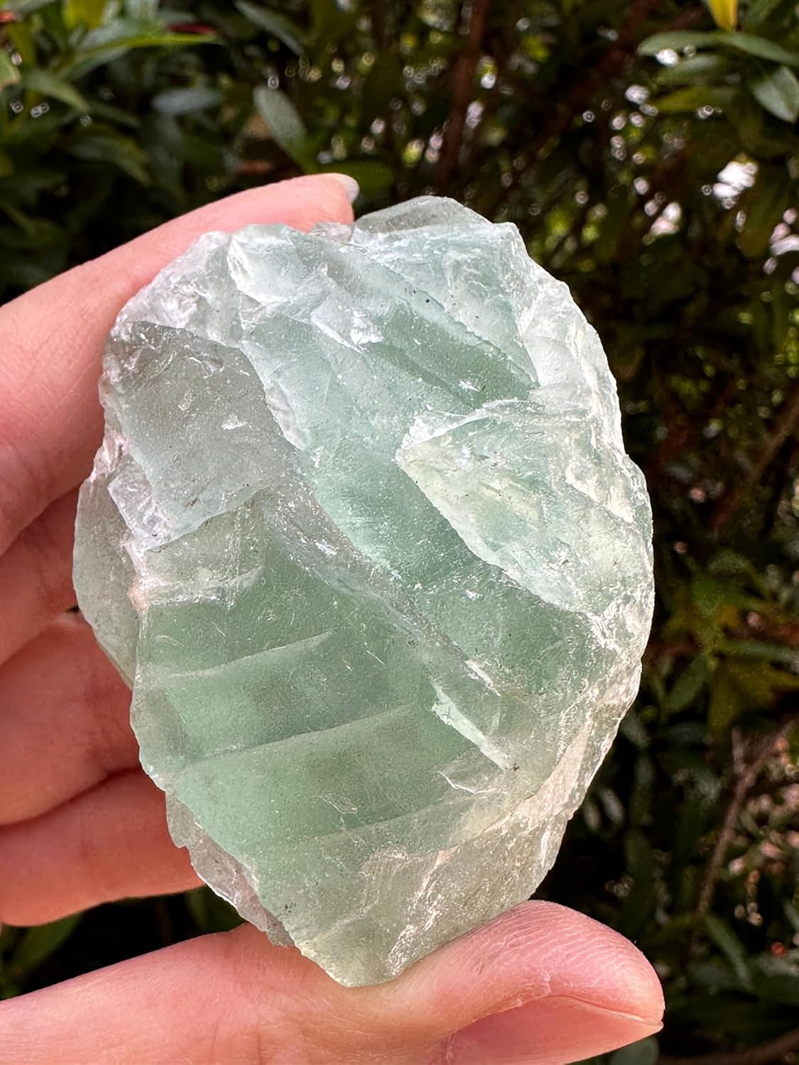 GAF TREASURES Natural Green Fluorite Stone 1 Piece