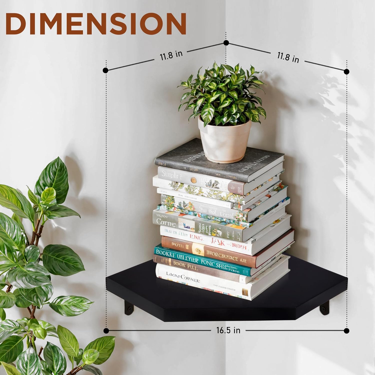Demigo Floating Corner Shelves Set of 2 Black Acacia Wood