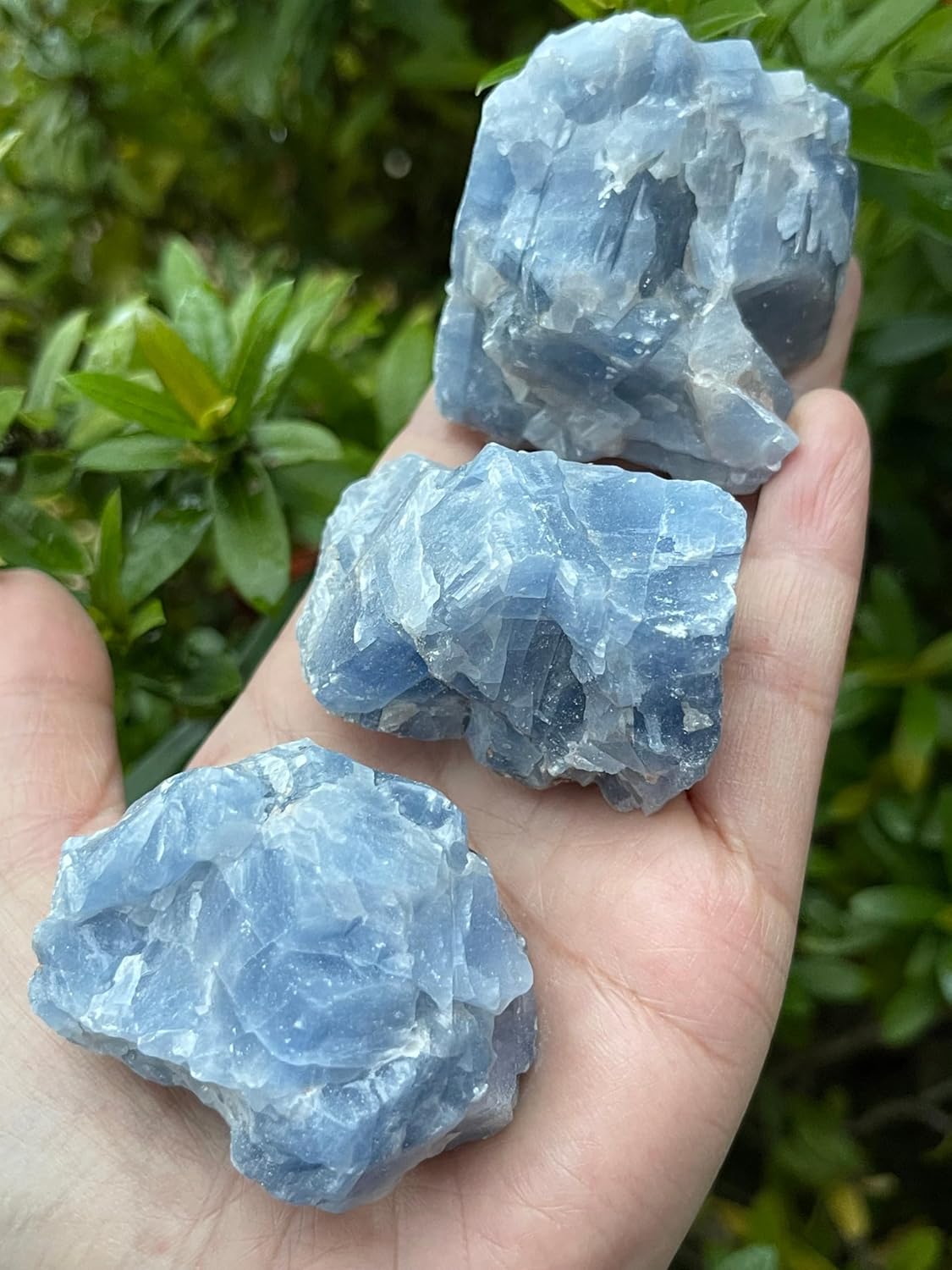 GAF TREASURES 1 Pound Blue Calcite Rough Stones