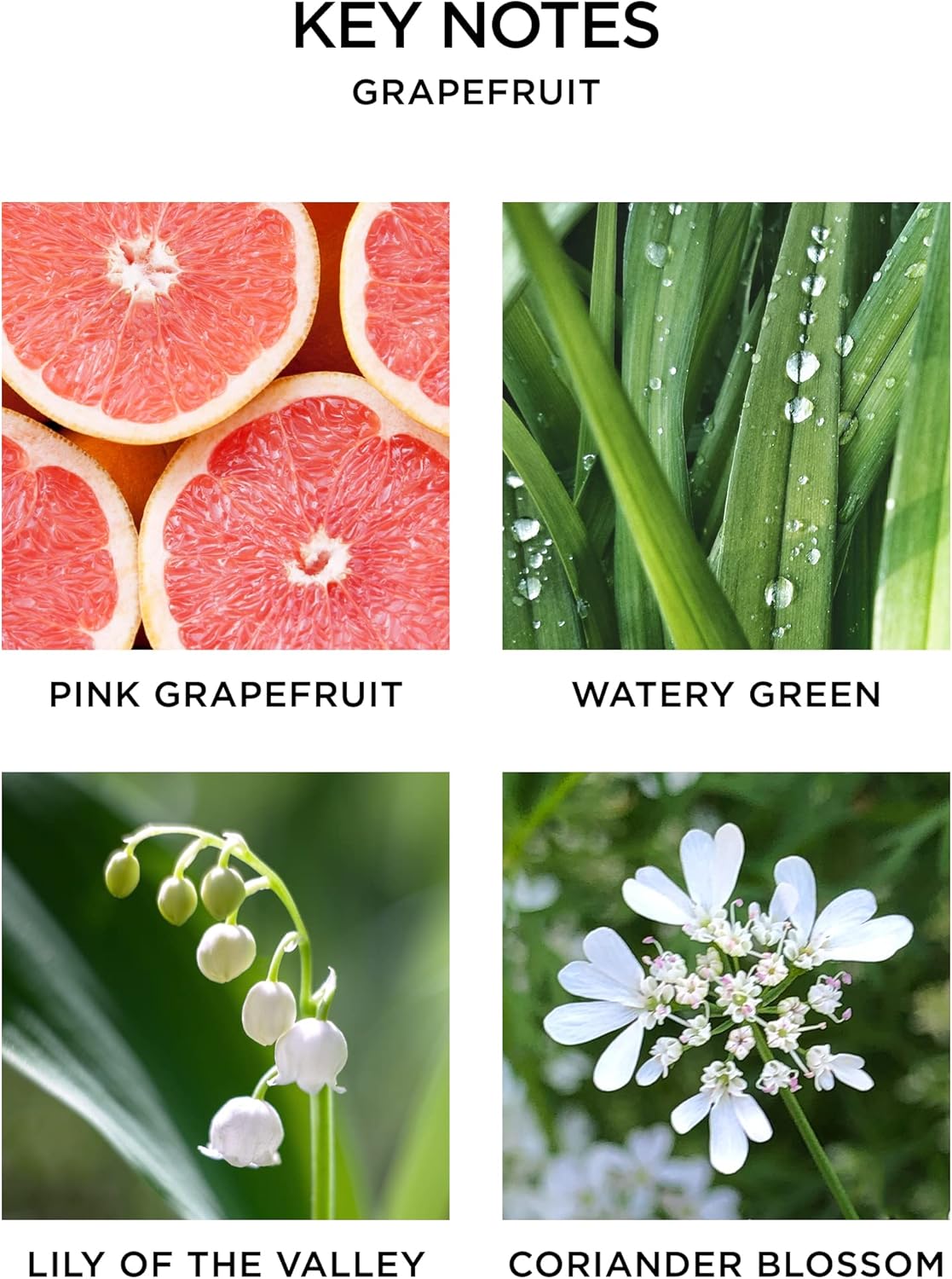 NEST New York Wall Diffuser Set Grapefruit