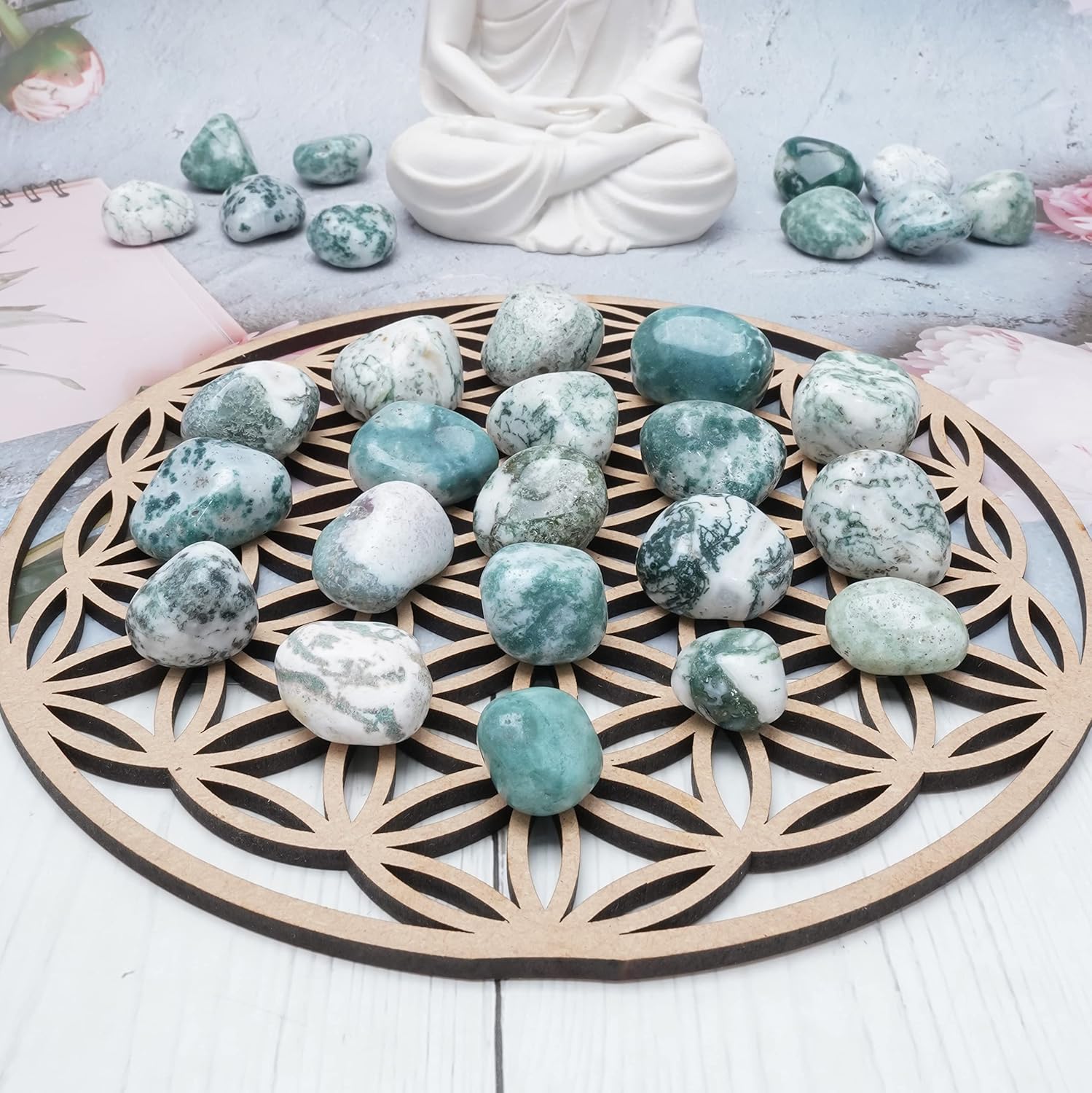 Crocon 1lb Tree Agate Tumble Stones Set