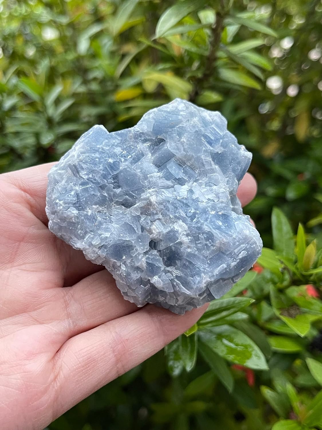 GAF TREASURES 1 Pound Blue Calcite Rough Stones