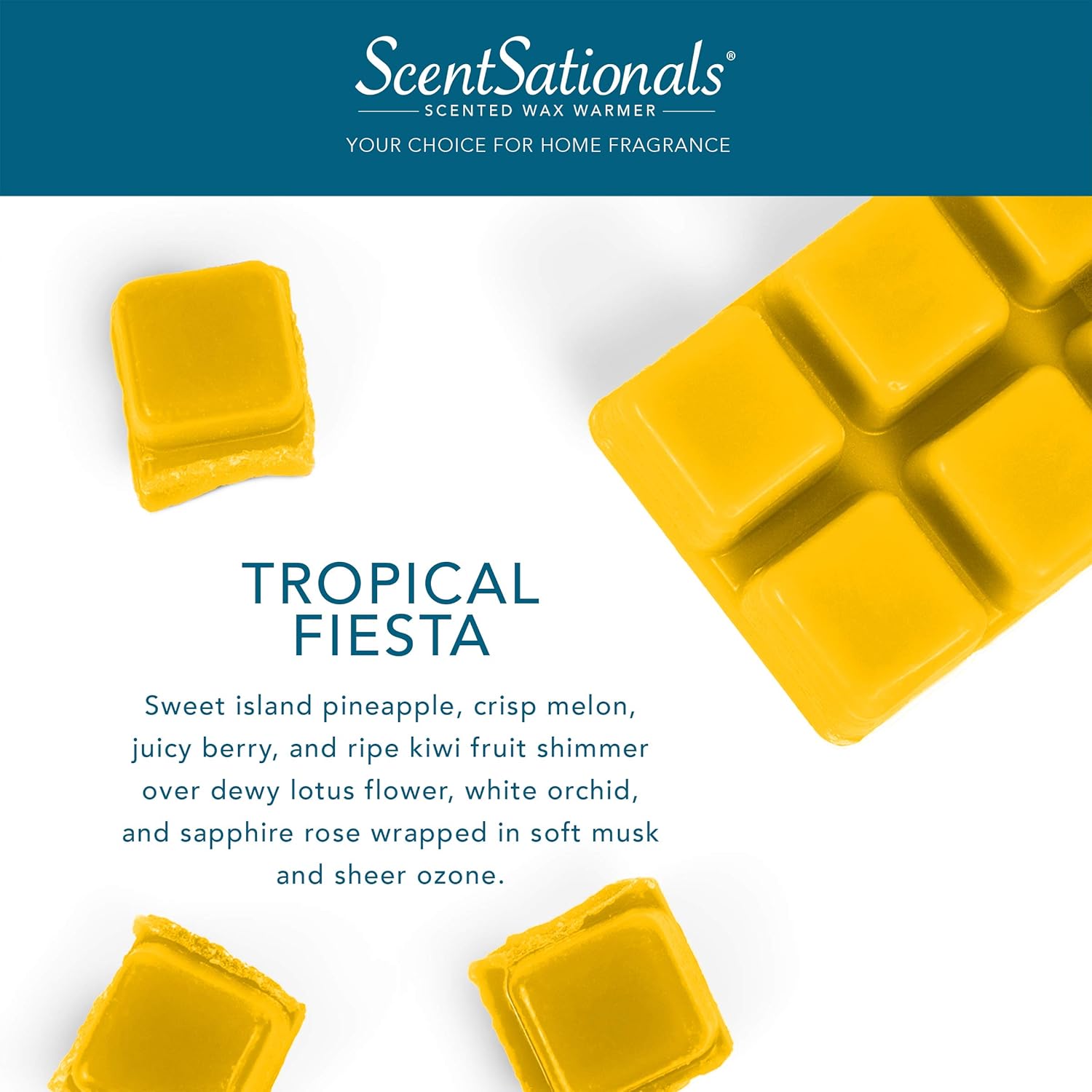 Scentsationals Wax Melts Tropical Fiesta 10oz 24 Cubes