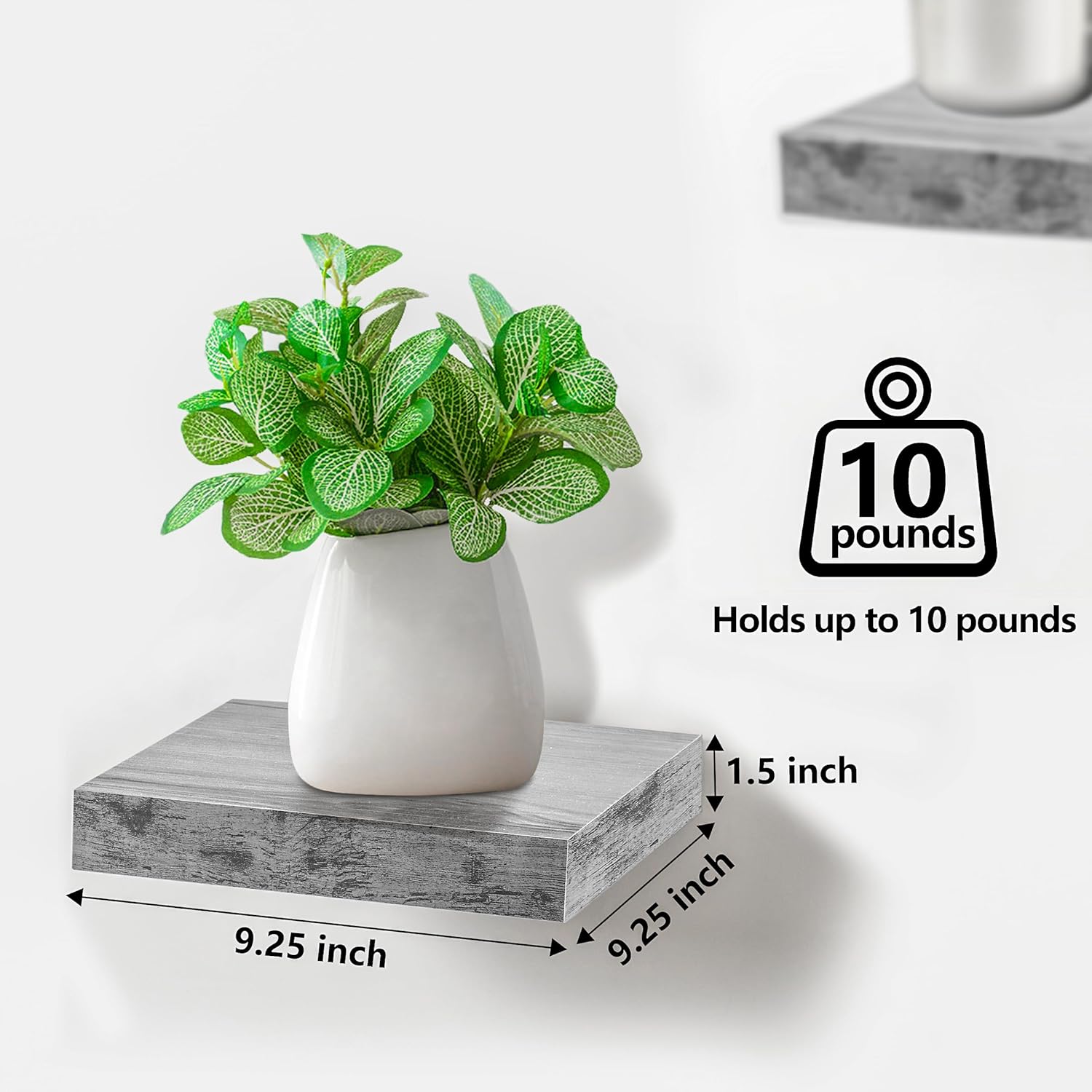 Sorbus 4 Square Floating Shelves for Wall Decor