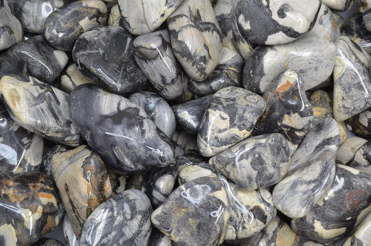 Fantasia 1 lb Tumbled Silver Leaf Jasper Stones for Indoor Fountains