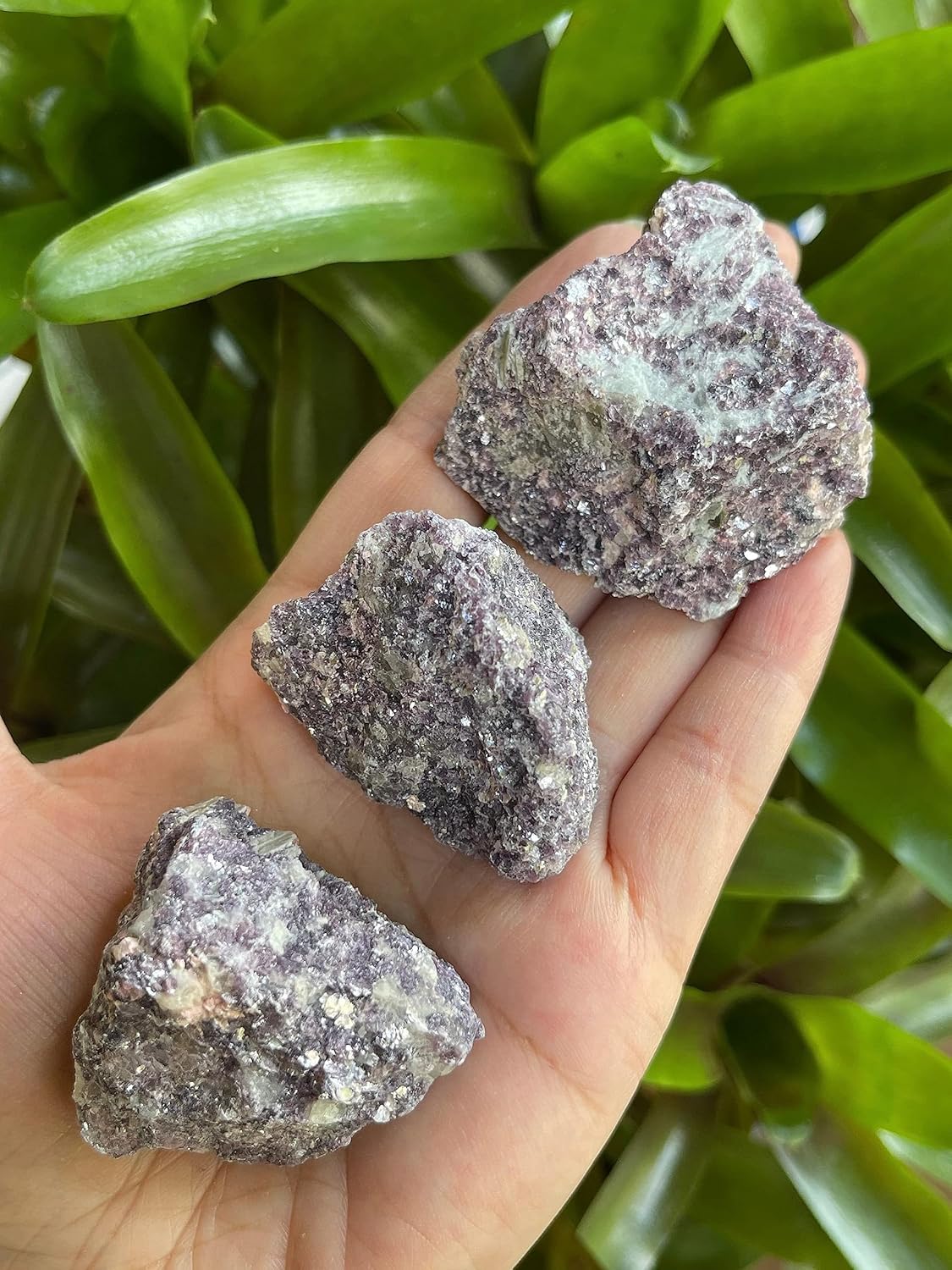GAF TREASURES 3 Pcs Natural Lepidolite Crystals
