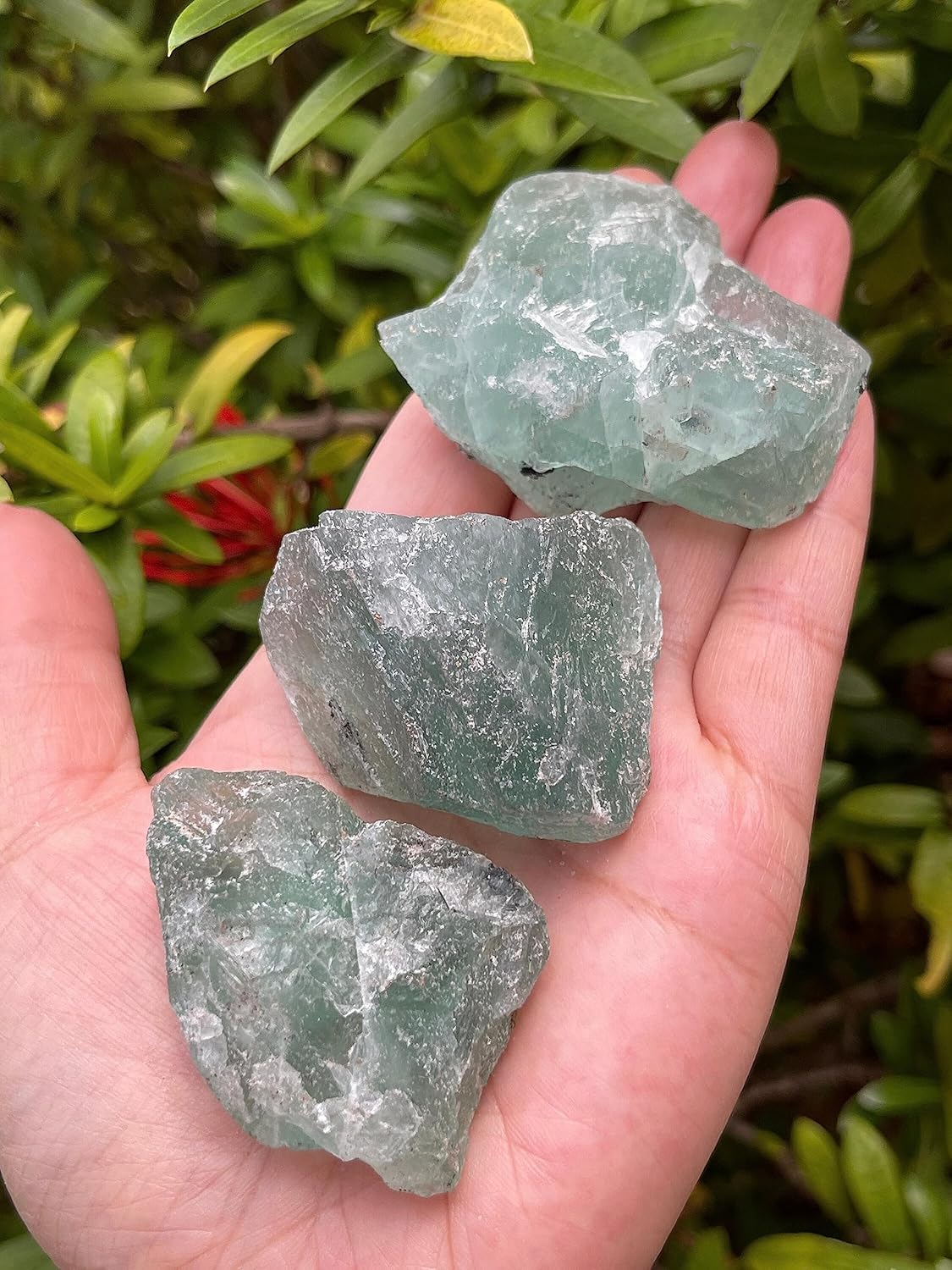 GAF TREASURES Natural Green Fluorite Stone 1 Piece