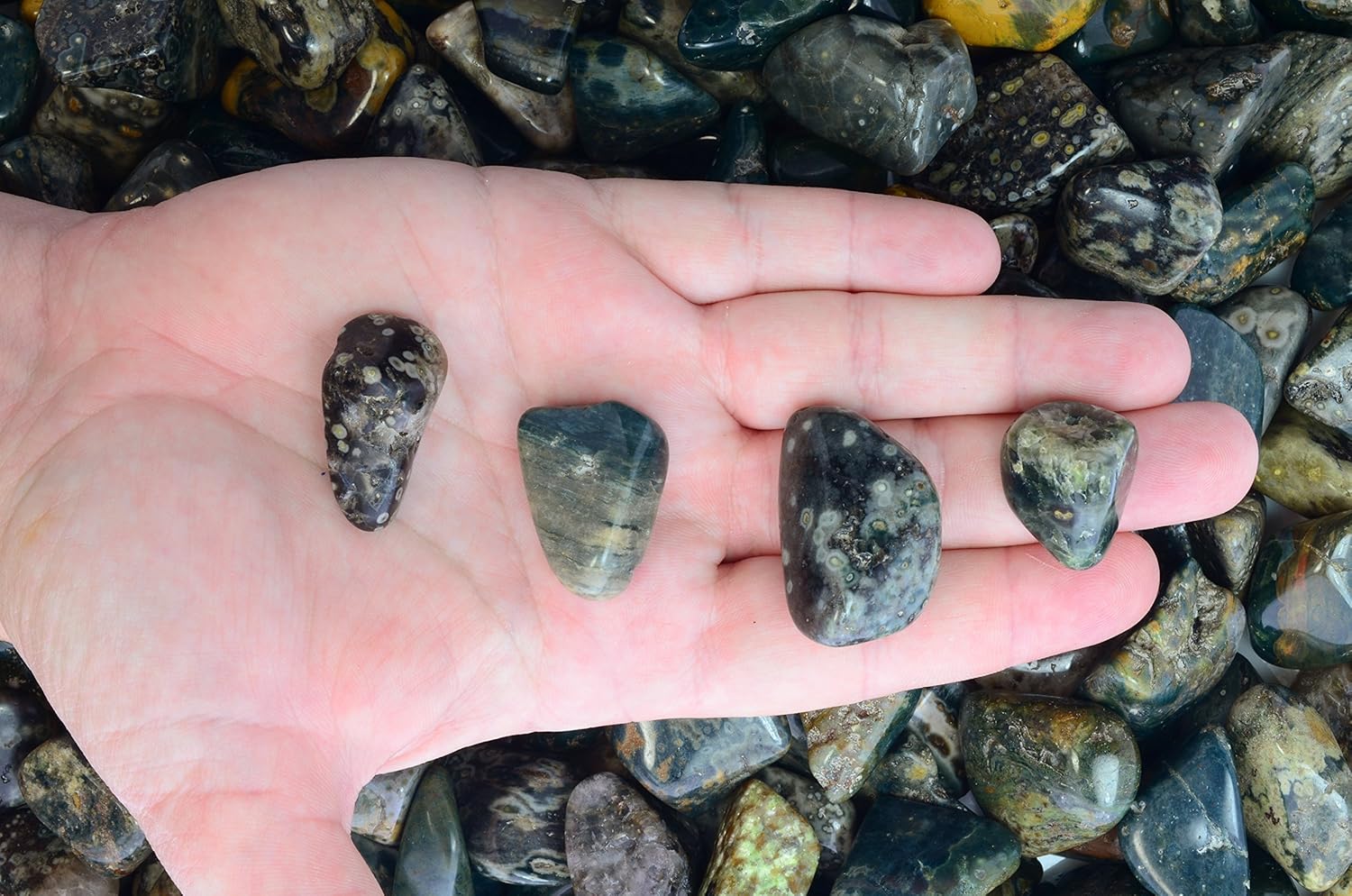 Fantasia Tumbled Sea Jasper Stones 10 Pcs Small