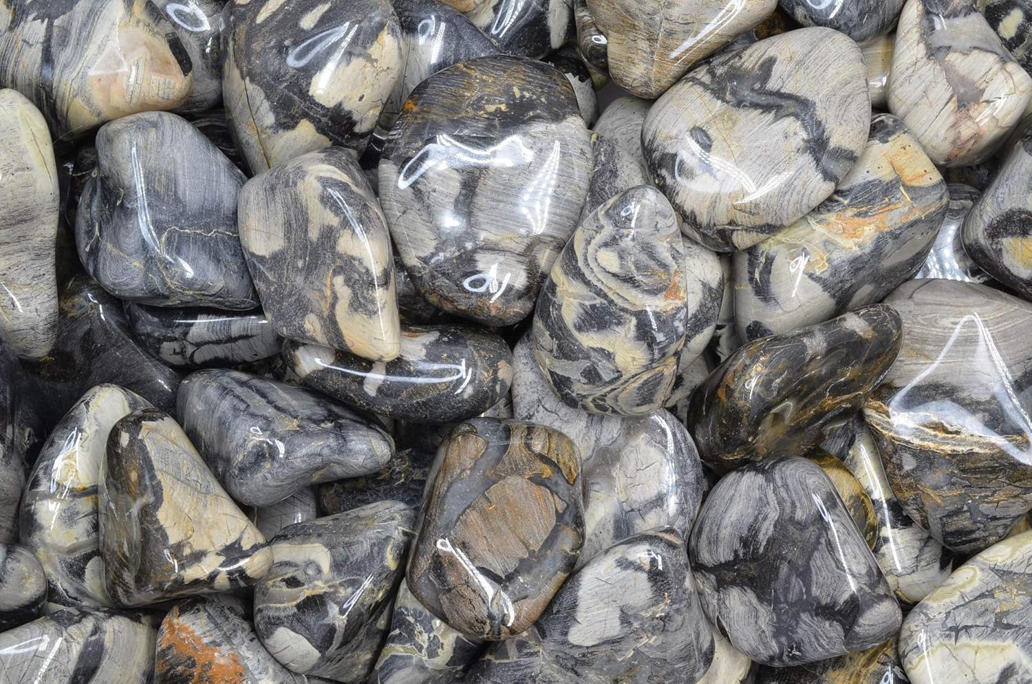 Fantasia 1 lb Tumbled Silver Leaf Jasper Stones for Indoor Fountains