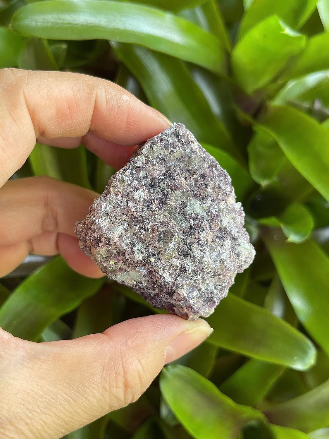GAF TREASURES 3 Pcs Natural Lepidolite Crystals