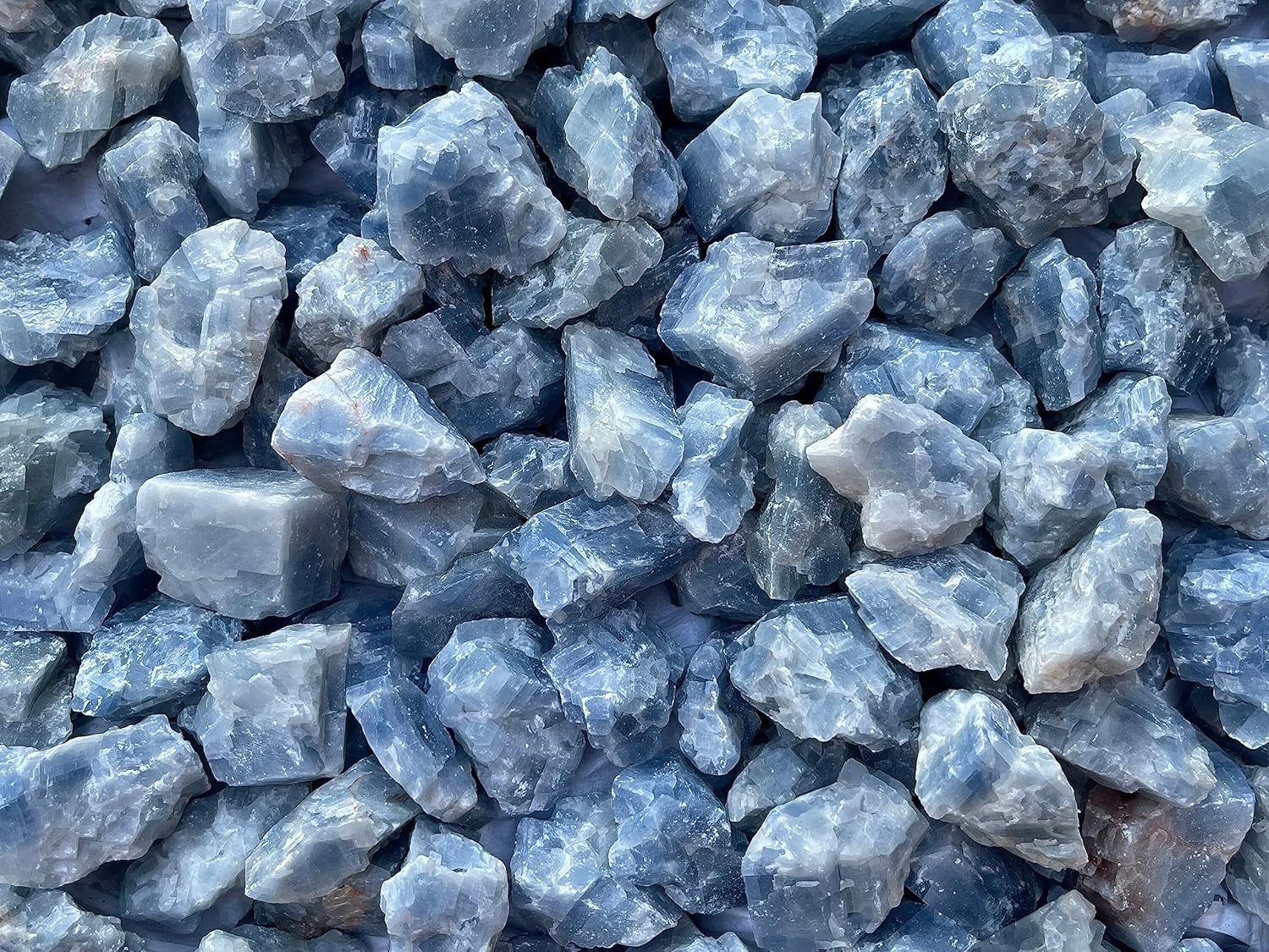 GAF TREASURES 1 Pound Blue Calcite Rough Stones