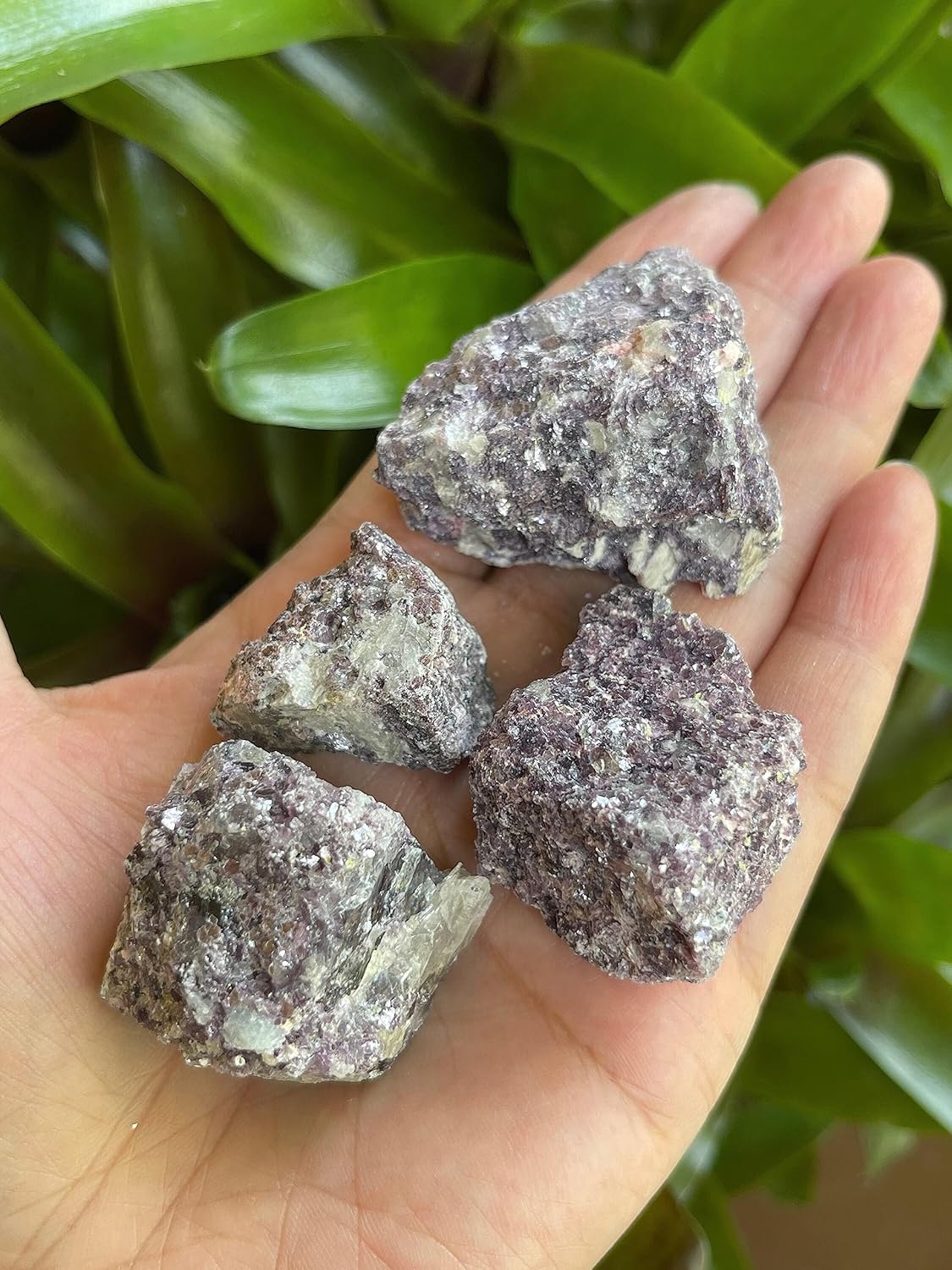 GAF TREASURES 3 Pcs Natural Lepidolite Crystals