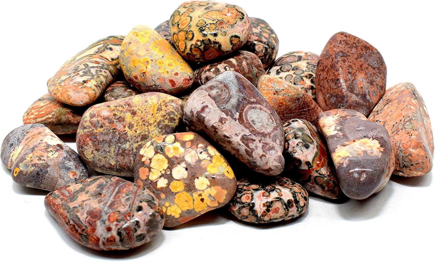 30PCS Leopardite Jasper Stones Natural Polished Indoor Fountain Decor