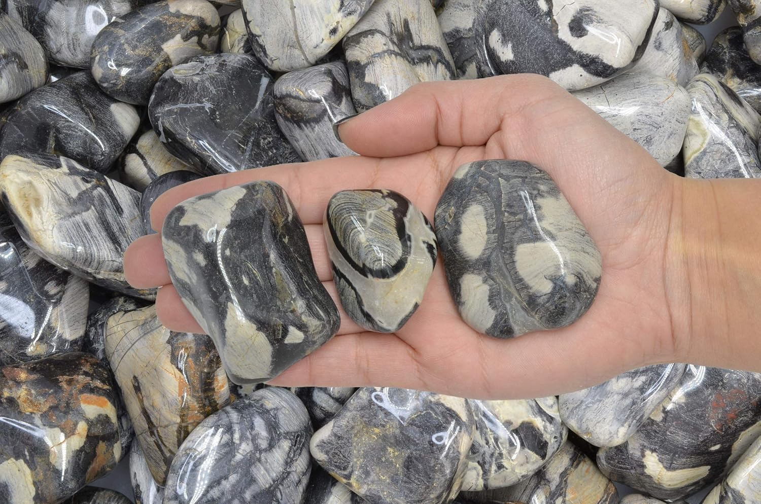 Fantasia 1 lb Tumbled Silver Leaf Jasper Stones for Indoor Fountains