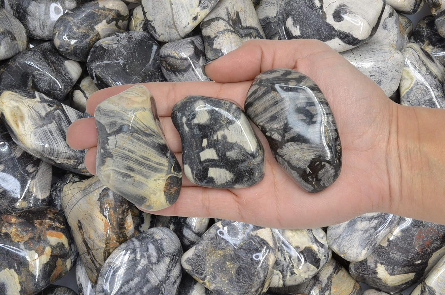 Fantasia 1 lb Tumbled Silver Leaf Jasper Stones for Indoor Fountains